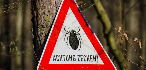 Schild an einem Baum, das vor Zecken warnt