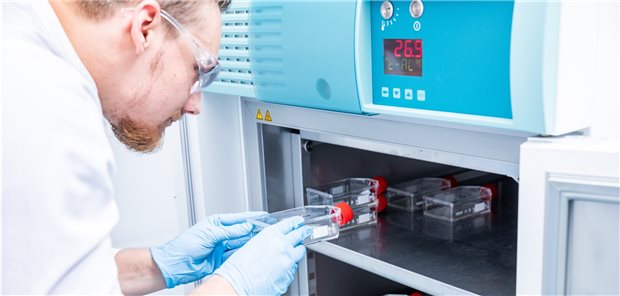 Zellkulturen in Temperaturschrank: Werden Impfviren in Zellen hergestellt, finden sich meist auch Proteine aus den Zellen im Impfstoff.