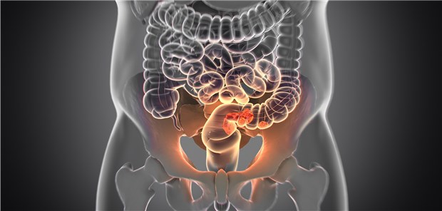 Zentren mit Zertifizierung haben eine höhere Überlebensquote als solche ohne eine Zertifizierung.
