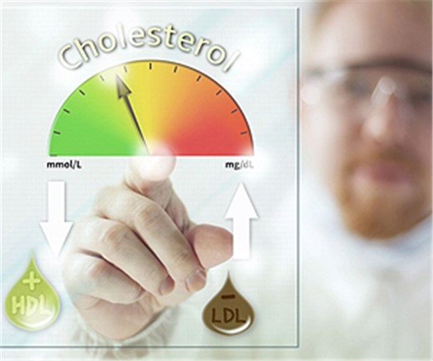 Cholesterin oft nicht im Griff Ziel bei Hypercholesterinämie: das LDL muss runter!