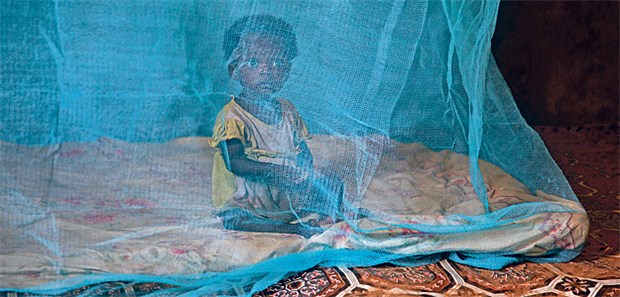 Malaria-Impfstoff in Sicht! Zielgruppe für die Malaria-Impfung: Sechs Monate altes Mädchen in Ghana unter Moskitonetz.