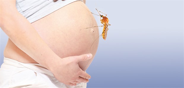 Wann kommt der Schutz für Schwangere? Zika-Gefahr: Forscher hoffen, in wenigen Wochen Klarheit darüber zu haben, ob die Viren wirklich Fehlbildungen bei Neugeborenen verursachen
