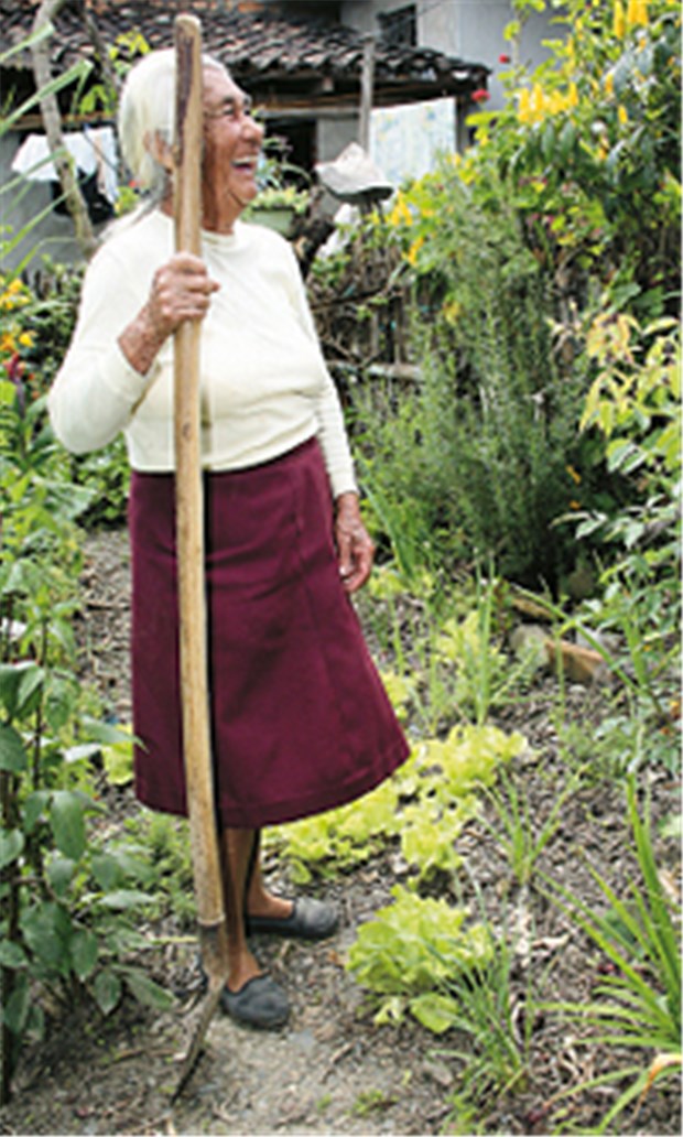 Mit 100 Jahren, da fängt das Leben an Zu alt zum Heiraten ist man nie: Die 98-jährige Doña Herminia ist täglich auf dem Feld. Sie lebt in Vilcabamba, dem "Tal der Hundertjährigen".