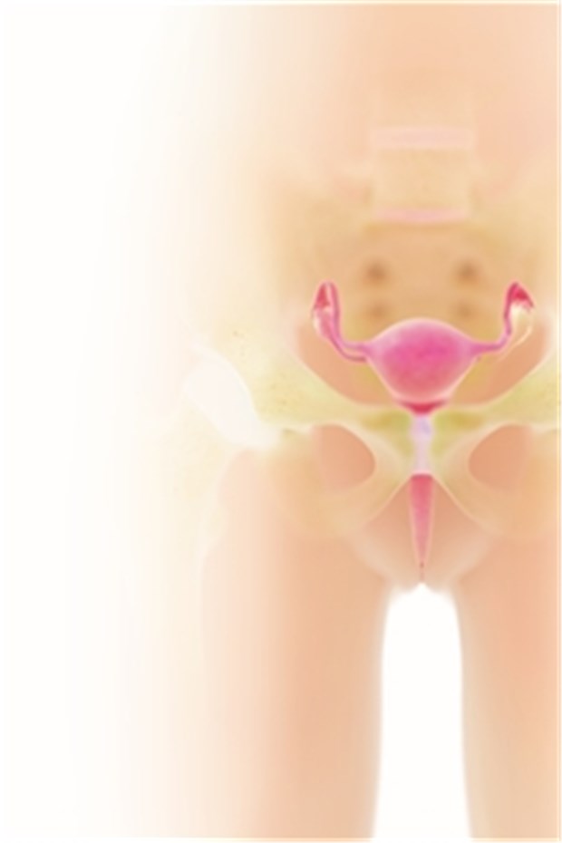 Phytos statt Antibiotika Zu den Problemgruppen, die zu Harnwegsinfekten neigen, gehören u. a. Schwangere und Frauen in der Postmenopause.