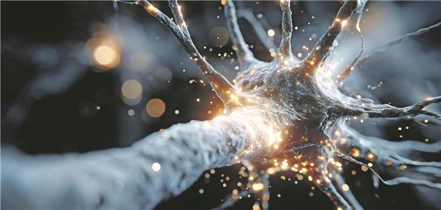 So diagnostizieren Sie die diabetische Neuropathie Zu den häufigsten Folgeerkrankungen eines Diabetes gehören Neuropathien.