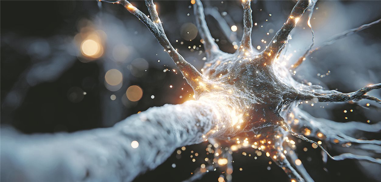 Nervenschädigungen : So diagnostizieren Sie die diabetische Neuropathie