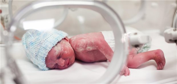 Zu früh geborenes Baby im Brutkasten.