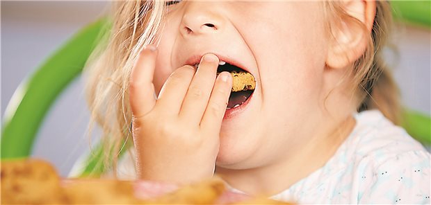 WHO: Fettleibigkeit in Europa mit „epidemischen Ausmaßen“ Zu viel Essen: Ein Drittel der Kinder in Deutschland ist zu dick.