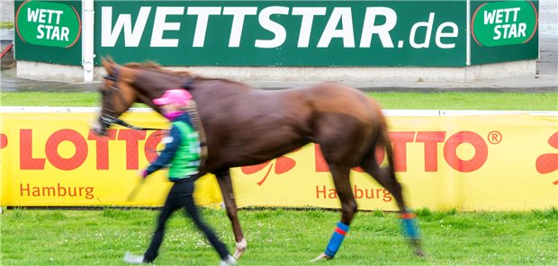 Kampf gegen Spielsucht rechtfertigt unterschiedliche Regeln Pferd vor einem Wettstar.de-Schild