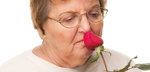 Riechstörung lässt sich wegtrainieren Zum Riechtraining wurde unter anderem Rosenduft verwendet.