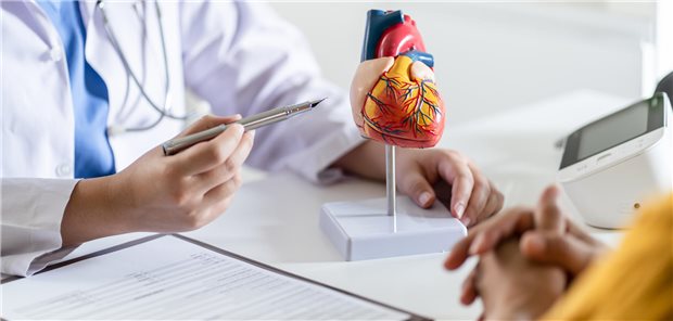 Kardiologische Beratung zur primären Herzbeteiligung bei systemischer Sklerose anhand des anatomisches Modell des menschlichen Herzens.