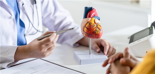 Kardiologische Beratung zur primären Herzbeteiligung bei systemischer Sklerose anhand des anatomisches Modell des menschlichen Herzens.