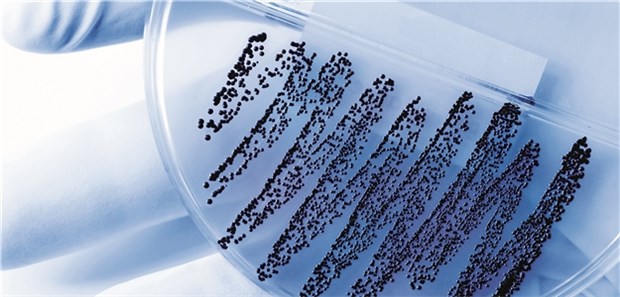 Zur passgenaueren Verordnung von Antibiotika gibt es ab 1. Juli mehr Labordiagnostik im EBM.