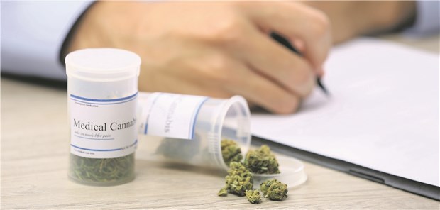 Etwa jeder dritte Antrag wird abgelehnt Zwei von drei Anträgen auf medizinisches Cannabis hat die Barmer im Jahr 2019 bewilligt.