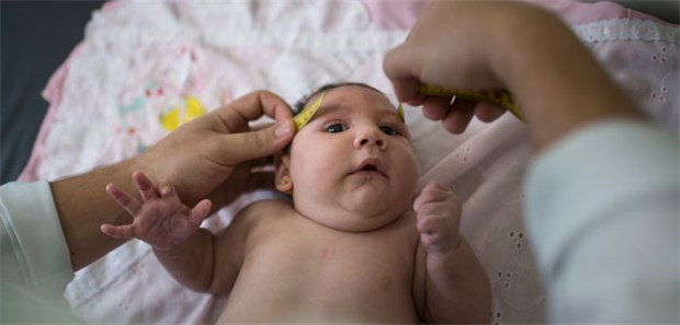 WHO schlägt Alarm Zwischen dem Zika-Virus und dem Auftreten von Schädel-Fehlbildungen (Mikrozephalie) besteht scheinbar ein enger Zusammenhang.