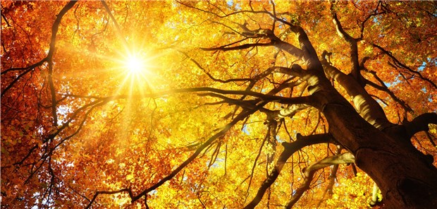 Die Börsen-Sonne geht im Herbst auf „...return in November“ – Wenn es Herbst wird, geht an der Börse die Sonne auf.