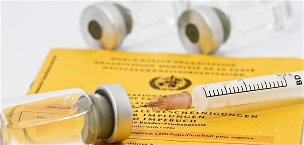 Gegen die Impfmüdigkeit: Welche Maßnahmen am besten funktionieren Eine Spritze steckt in einem Fläschchen, beides liegt auf einem Impf-Ausweis.